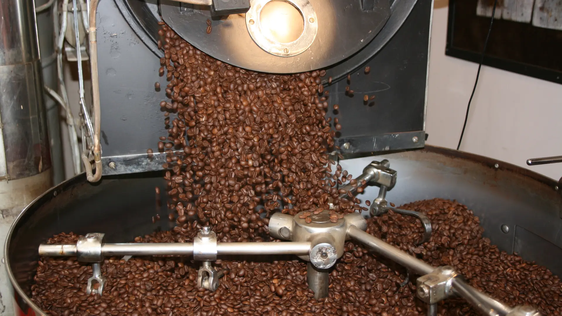Le grain sorti du torréfacteur après le temp de préparation