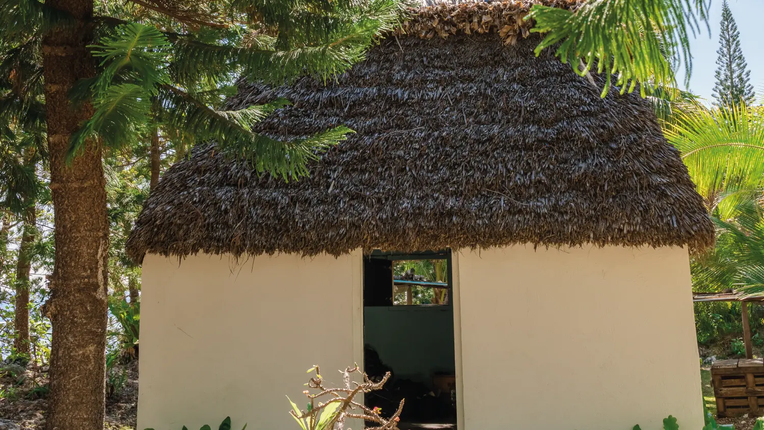 Thatched hut