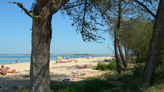 Plage de Trousse Chemise depuis la forêt