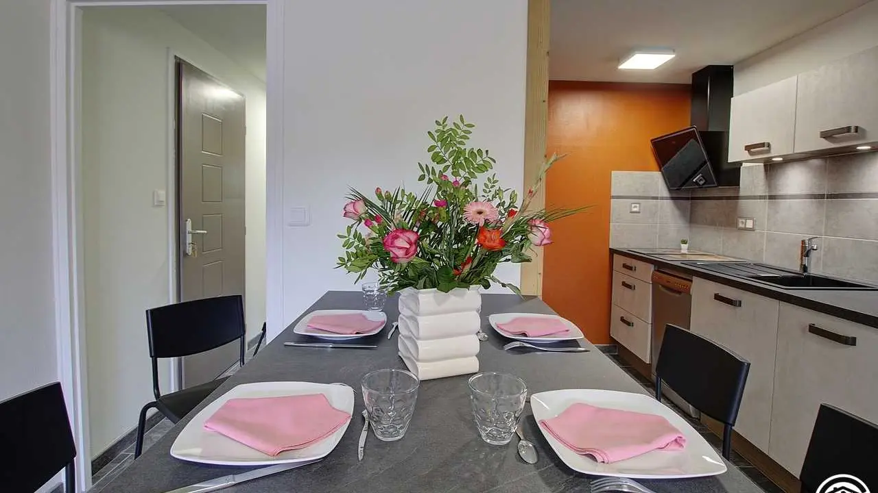 appareil à raclette ,service à fondue savoyarde ,tout le matériel pour cuisiner .Plaque induction ,lave vaisselle ,four multifonction .hotte .