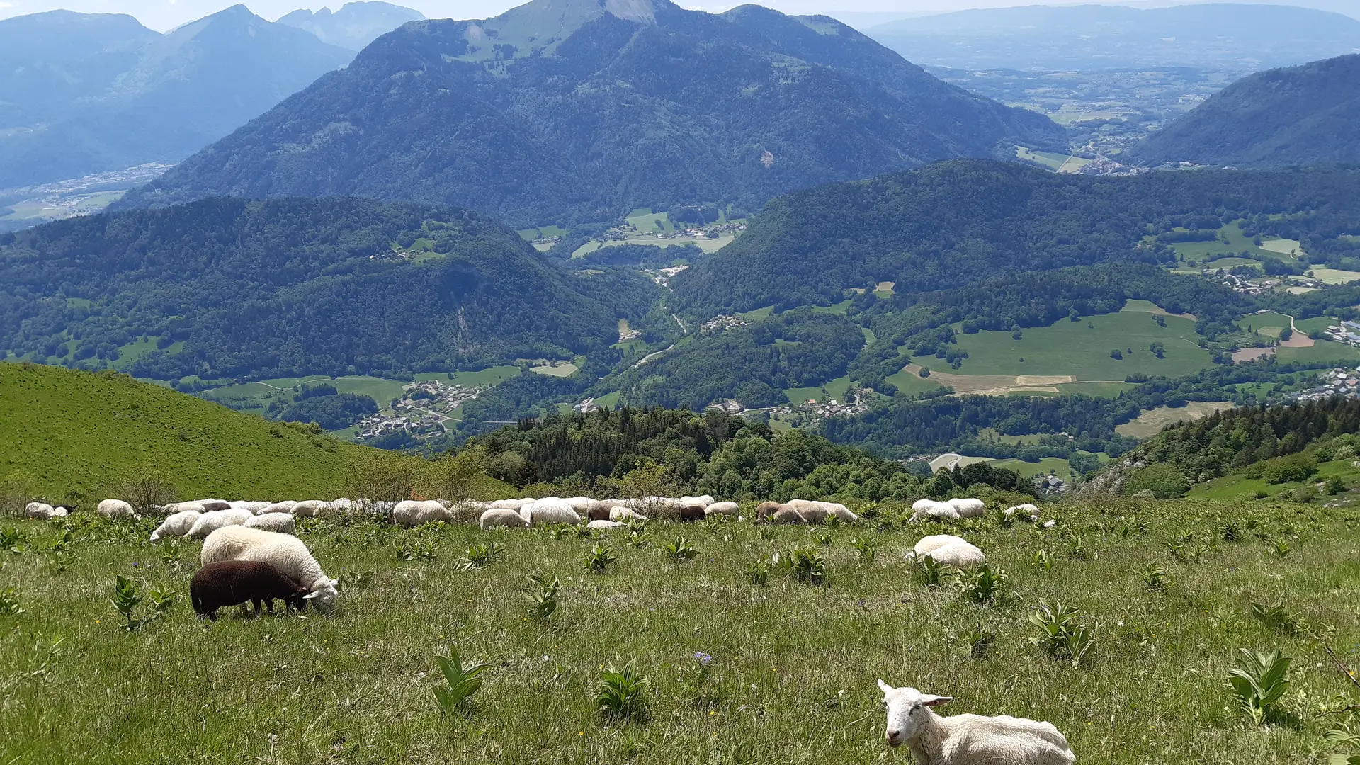 Vue sur le Môle