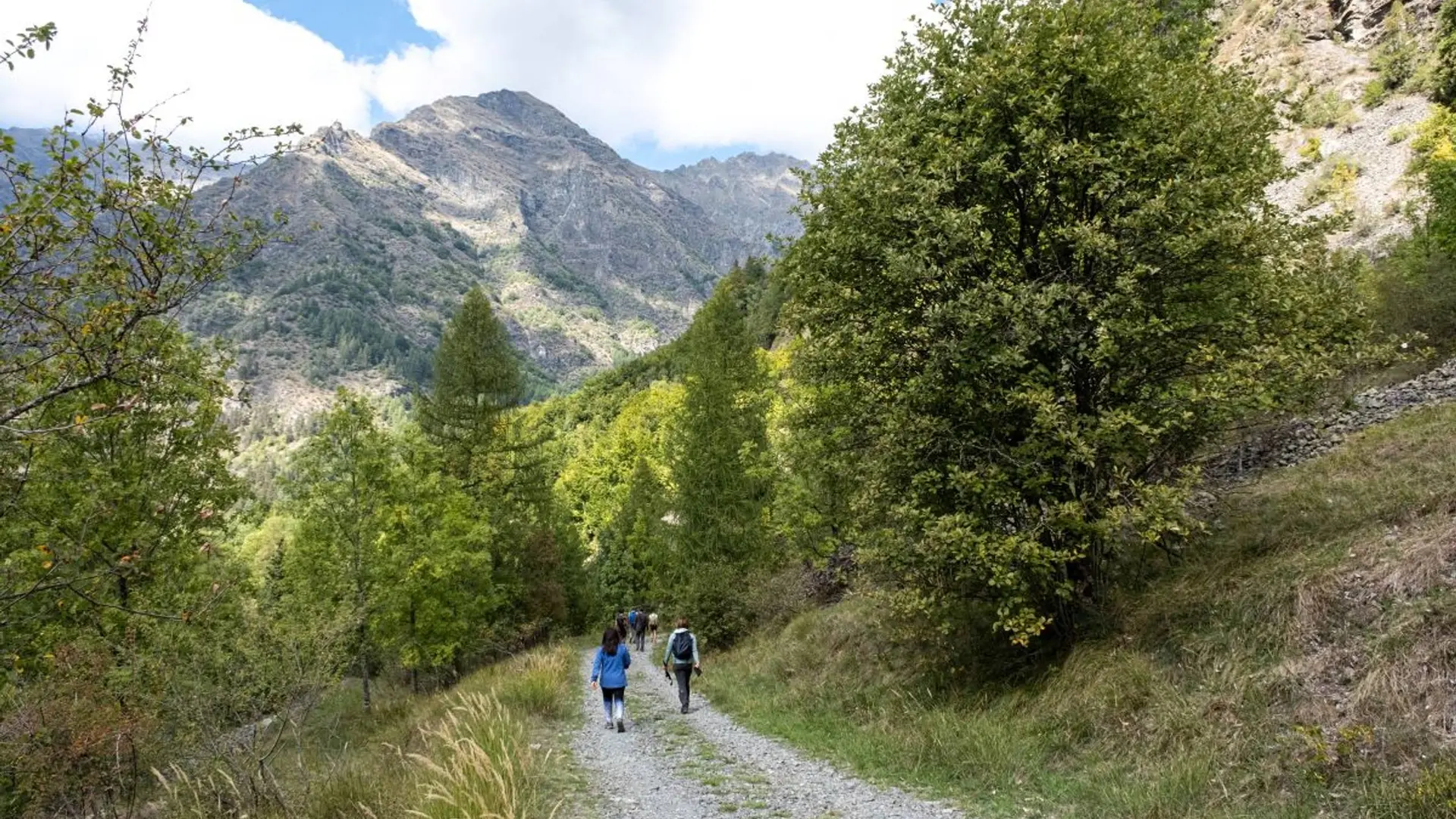 Piste du chemin du Roy
