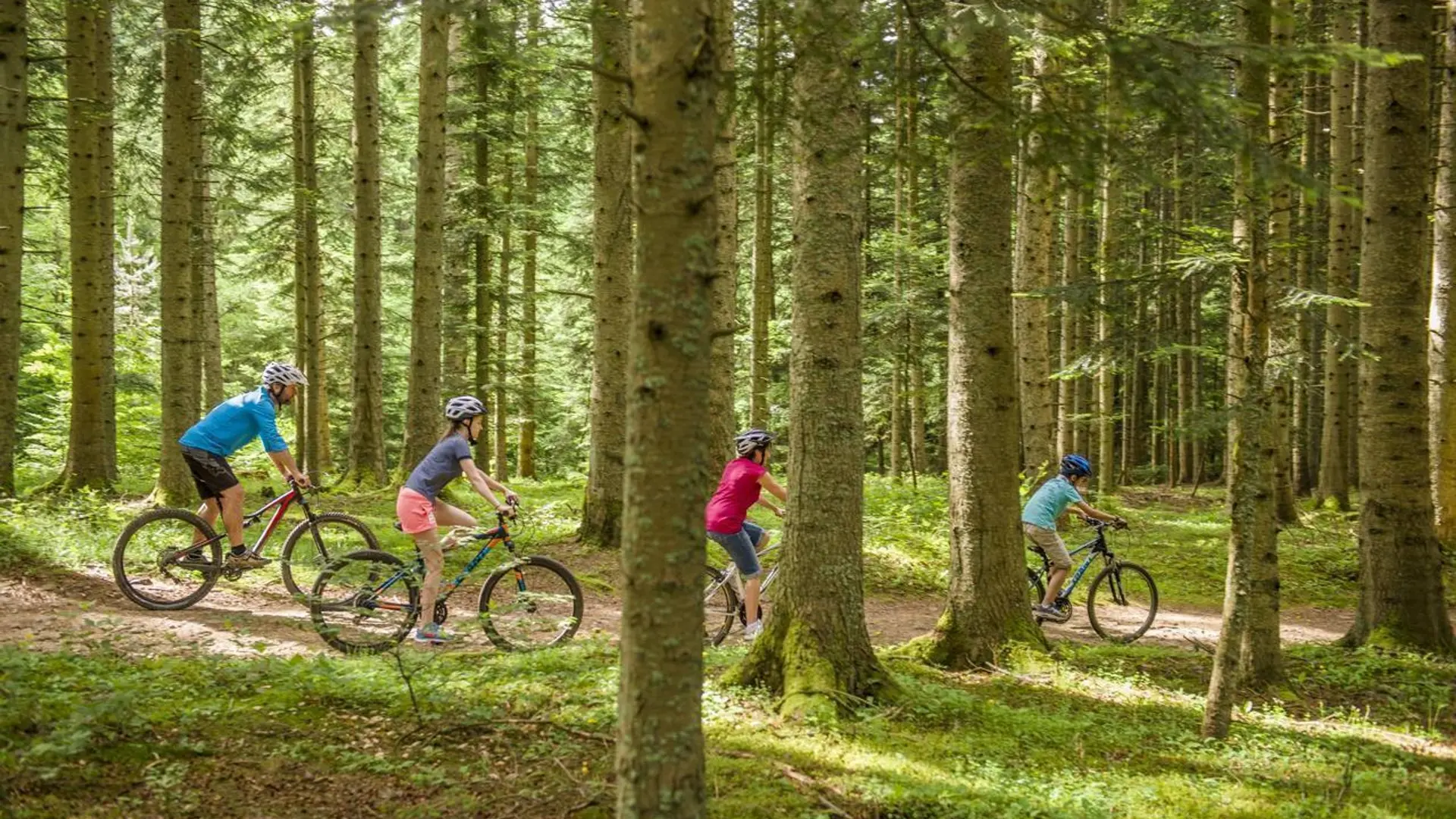Défier les sentiers forestiers