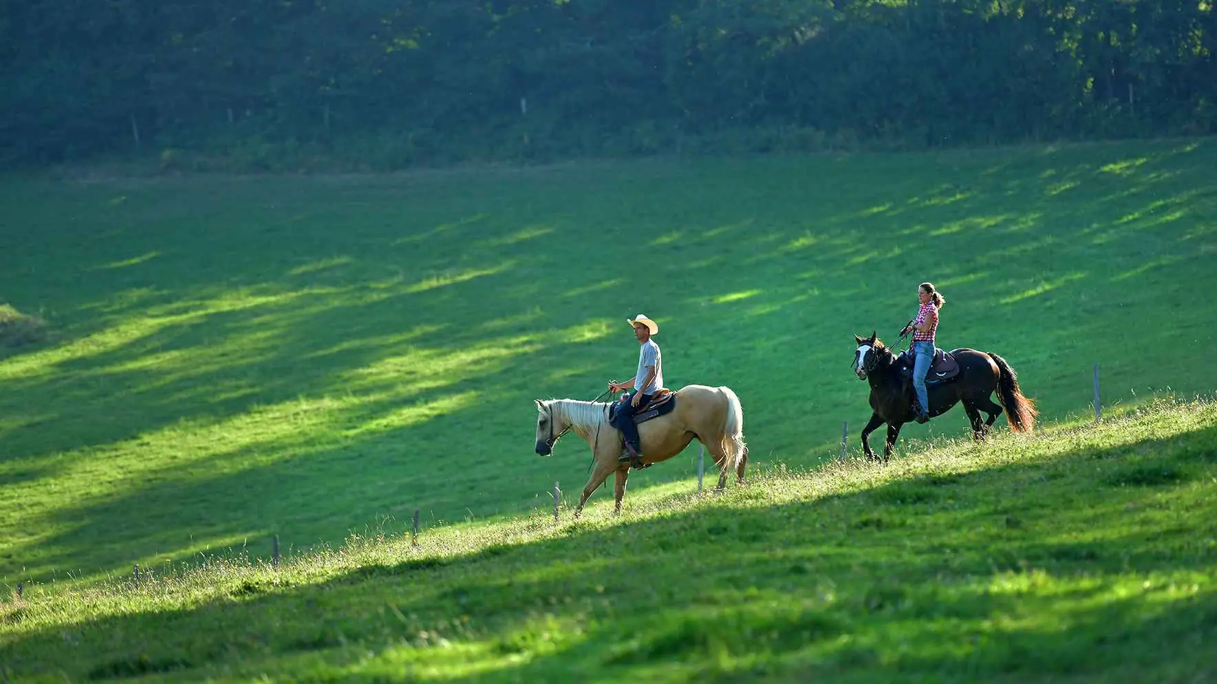 Randonnée équestre à Ferrières-sur-Sichon