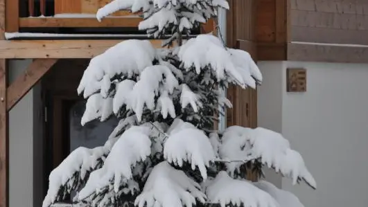 Gîte en Hiver