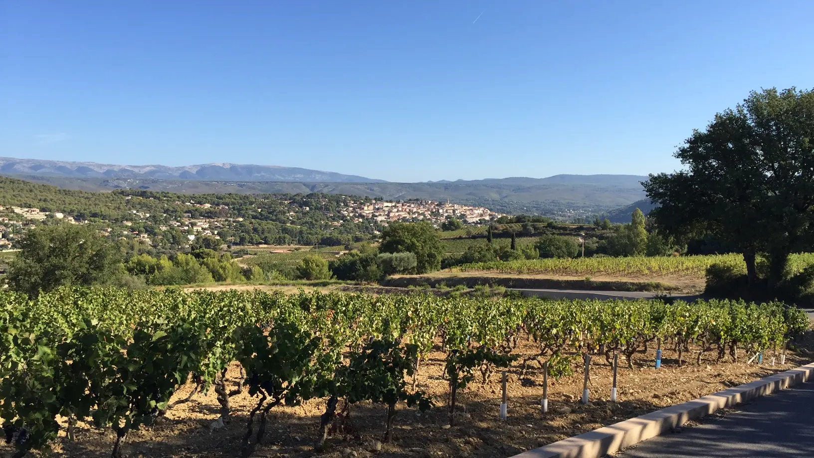 Vineyard & village view