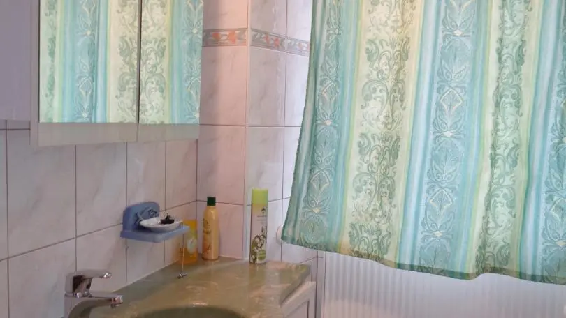 Salle d'eau avec douche et WC.