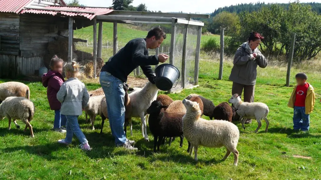 La mini-ferme à La Miellerie la Grange aux Abeilles - Estivareilles
