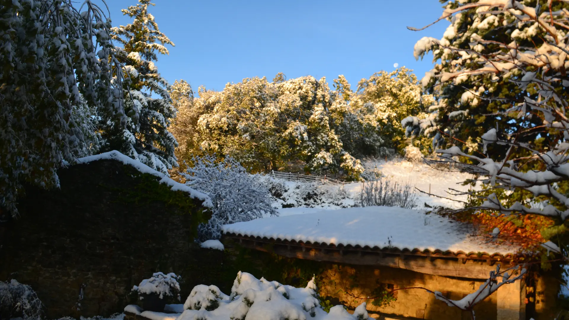 sous la neige