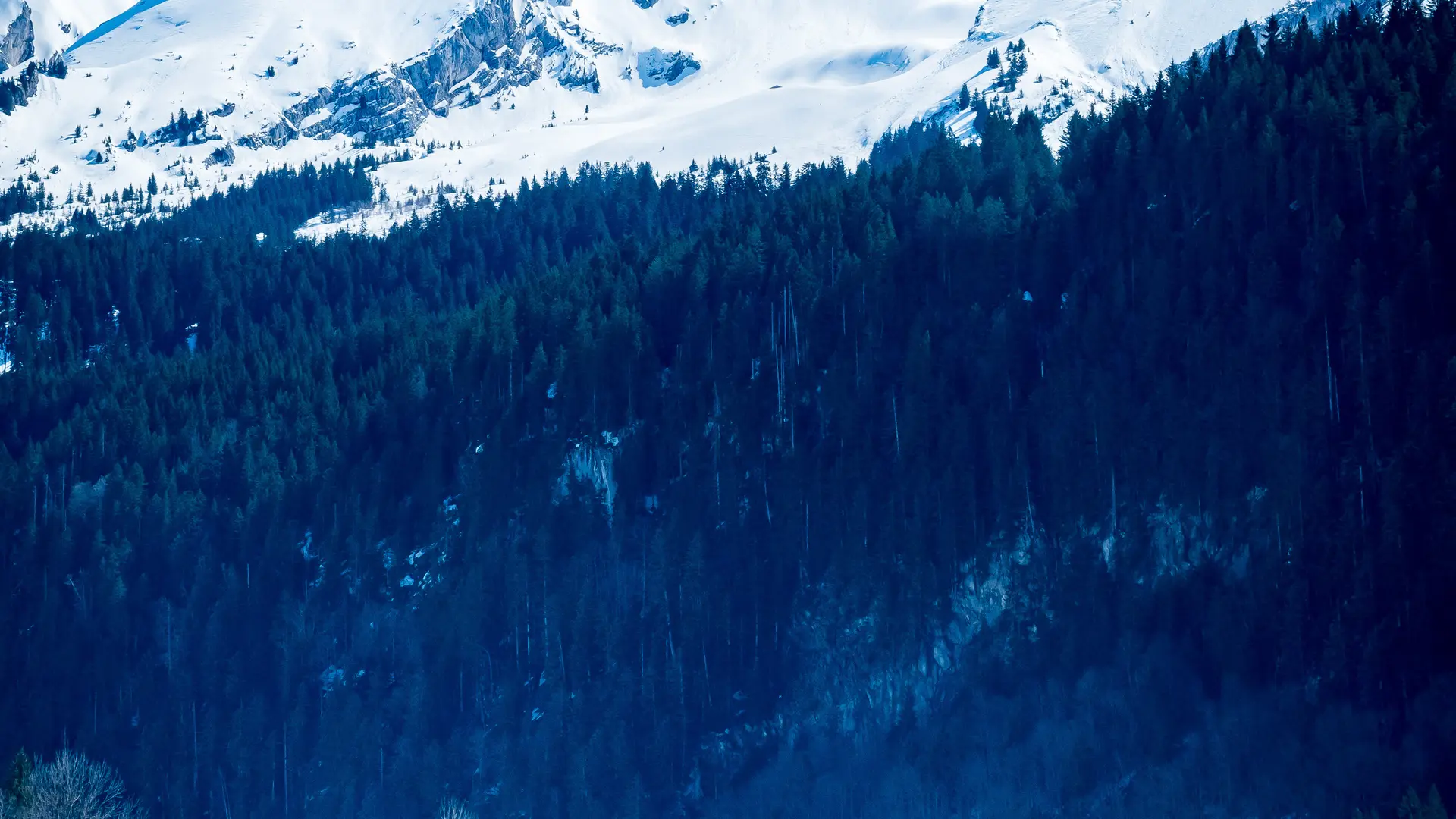 Biathlon stage avec moniteur ESF