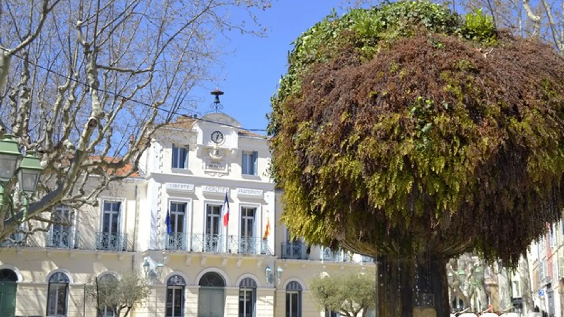 La place Jean Jaurès et sa fontaine