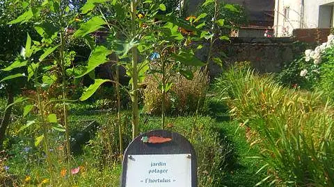 Jardin du Moyen Age © mmorelli