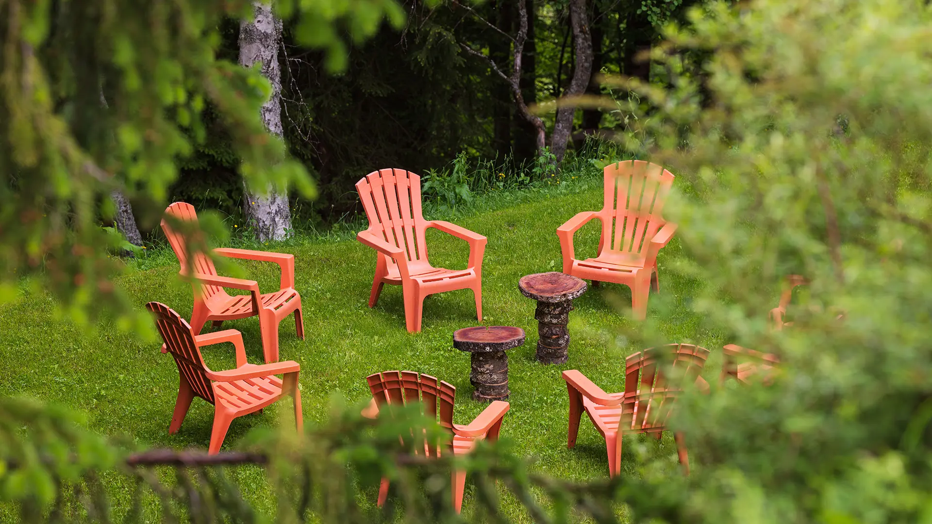 Coin détente à l'orée de la forêt