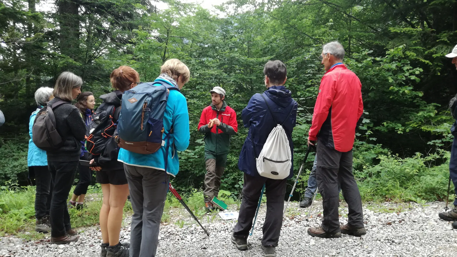 RBI Griffe du Diable