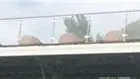 Balustrade