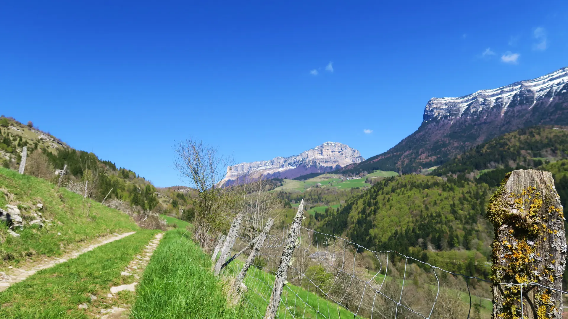 Chemin de randonnée