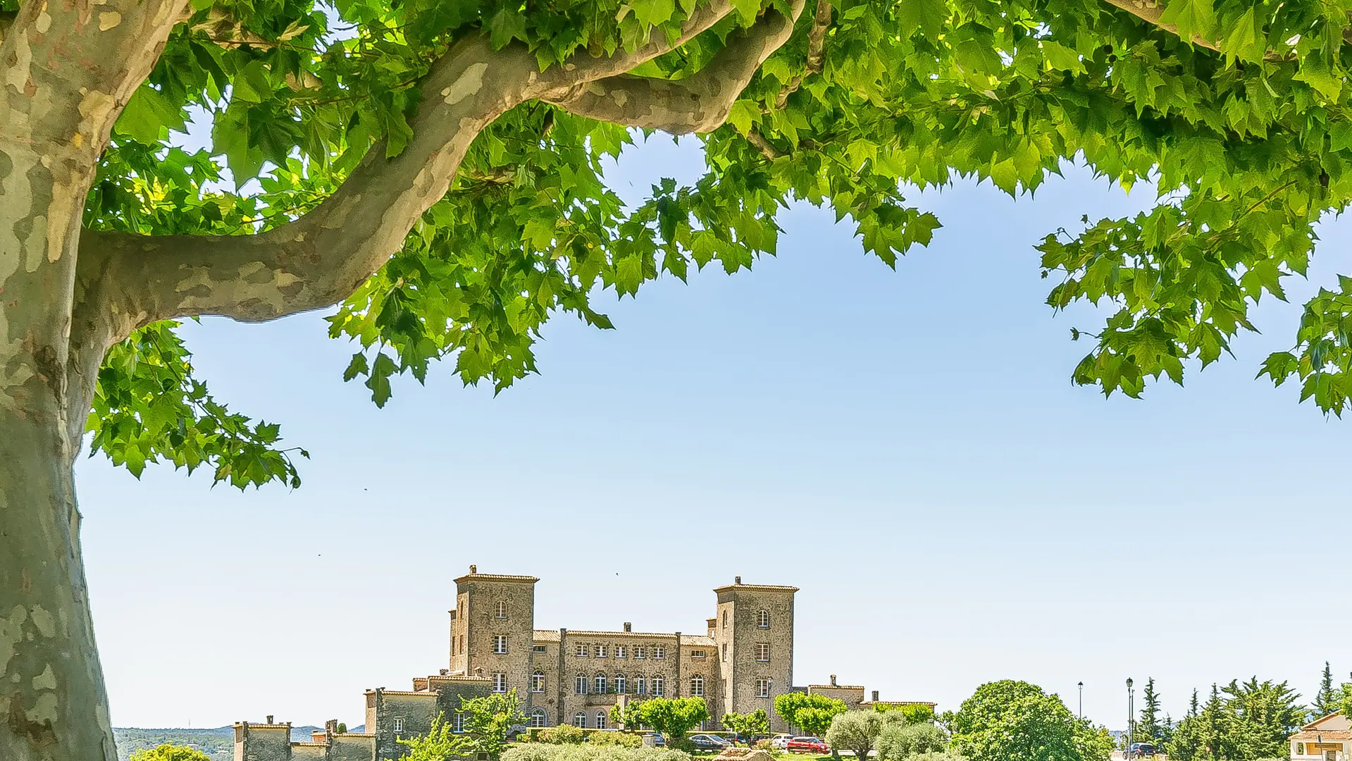 Le Château du Puy