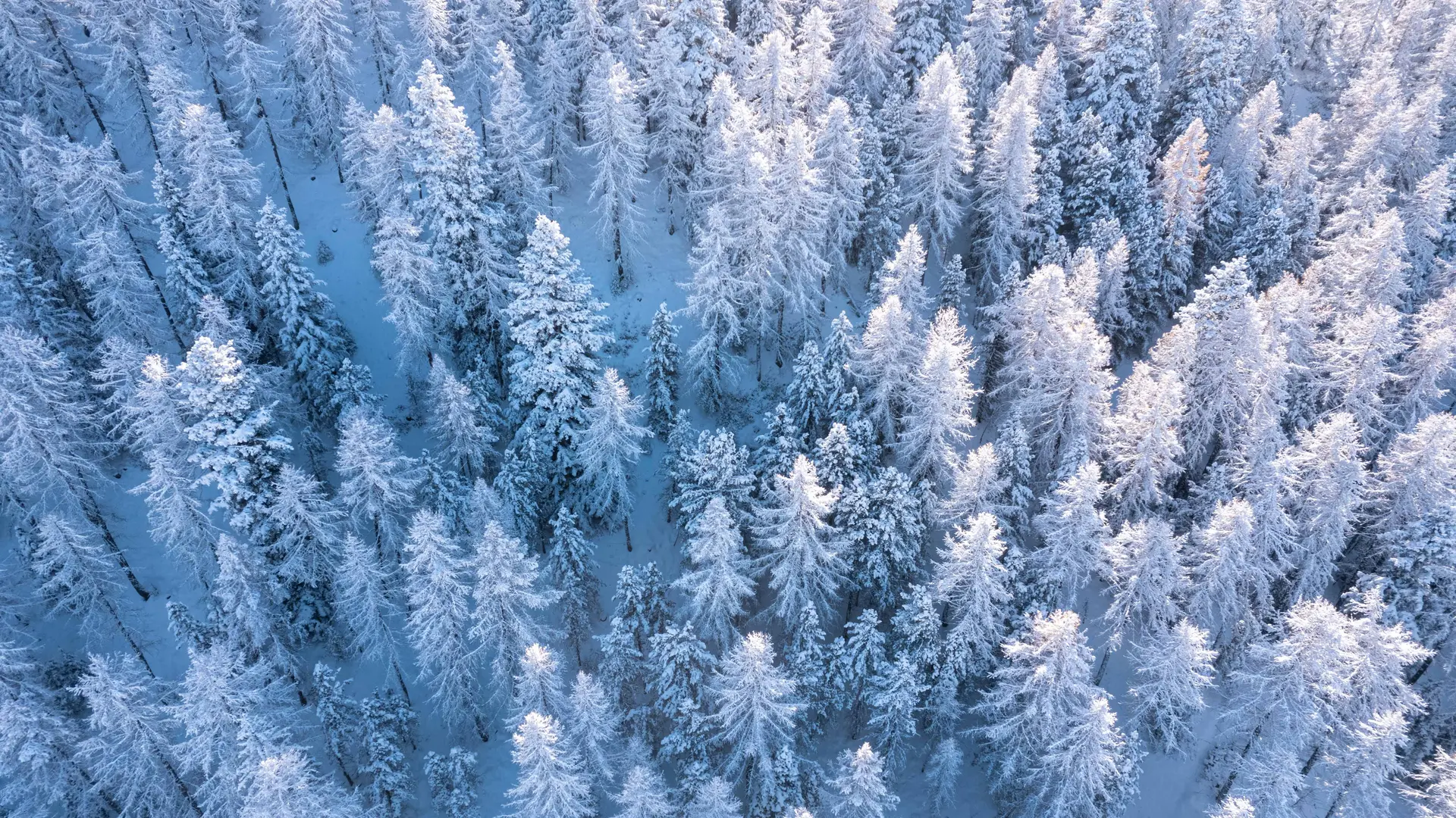 Montagne Harmonie : le bien-être en mouvement_Les Orres