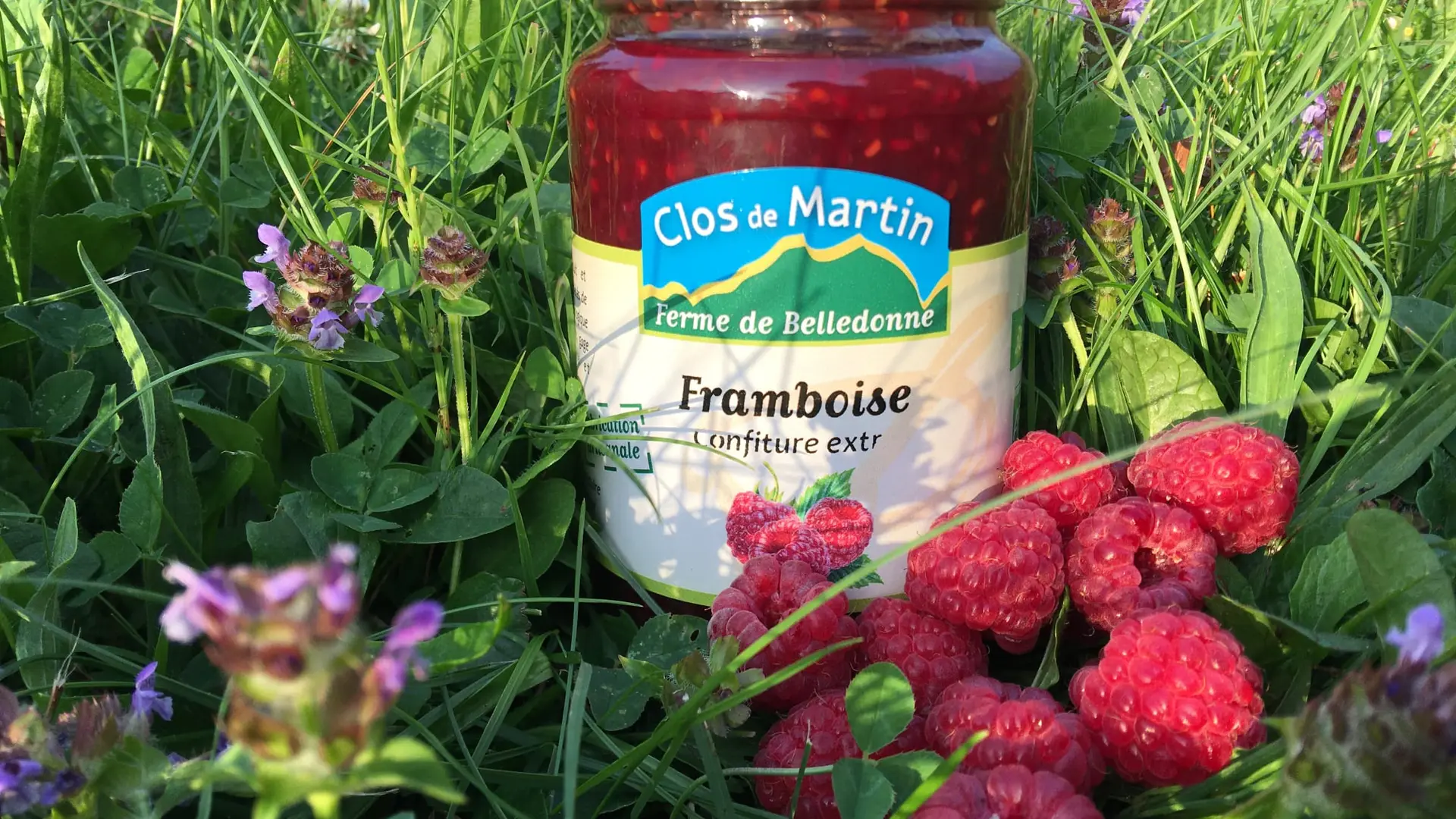 Pot de confiture de framboises, placé dans l'herbe avec des framboises fraîches sur le côté.