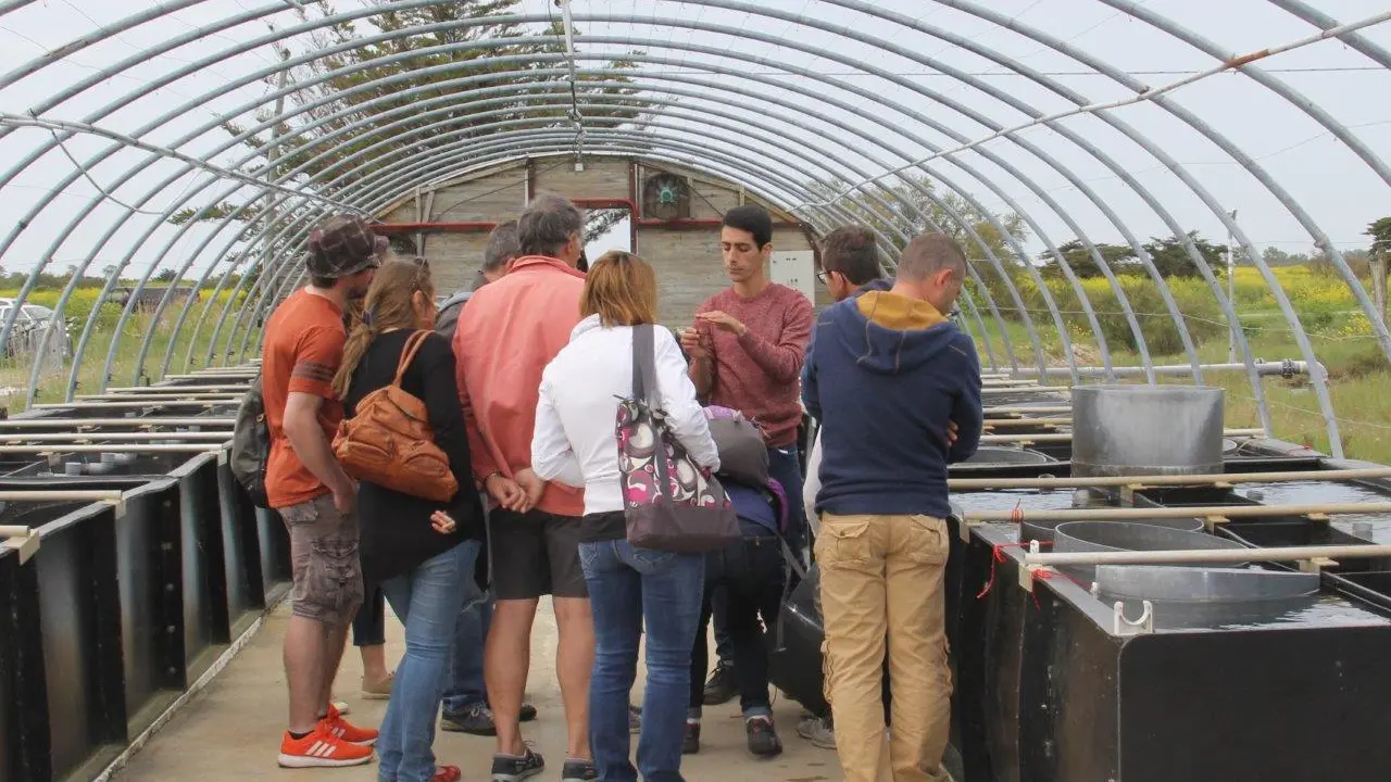 Visite guidée de la Ferme des Baleines