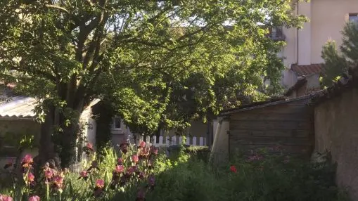 Jardin