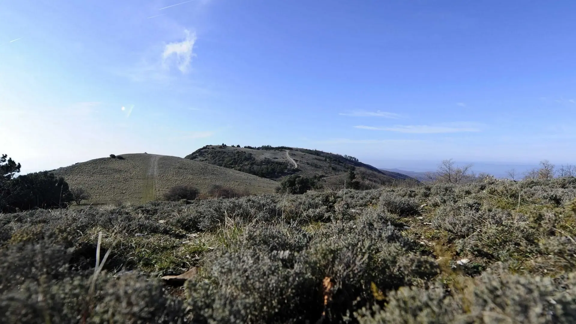 Pelouses sommitales du Grand Luberon à l'automne