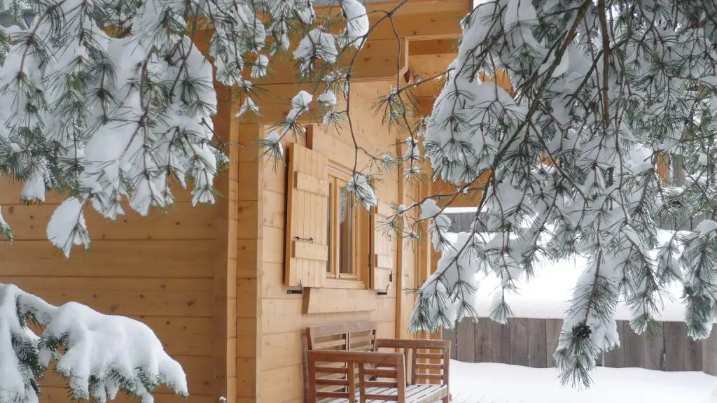 Sous la neige...