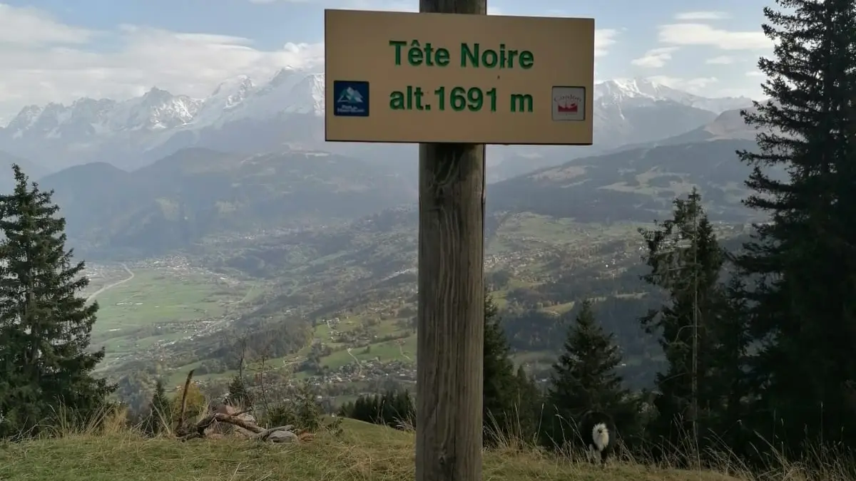 Panneau croix de tête noire