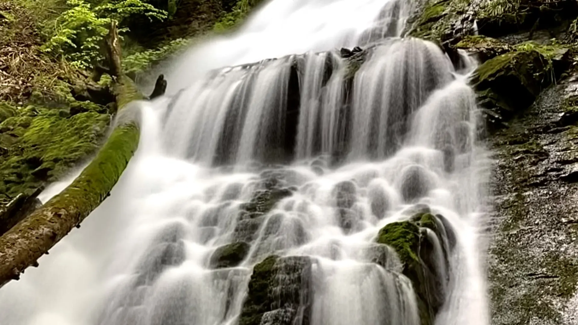 grand rideau d'eau tombant, cascade qui coule sur un fond rochaux, entourée de forêt