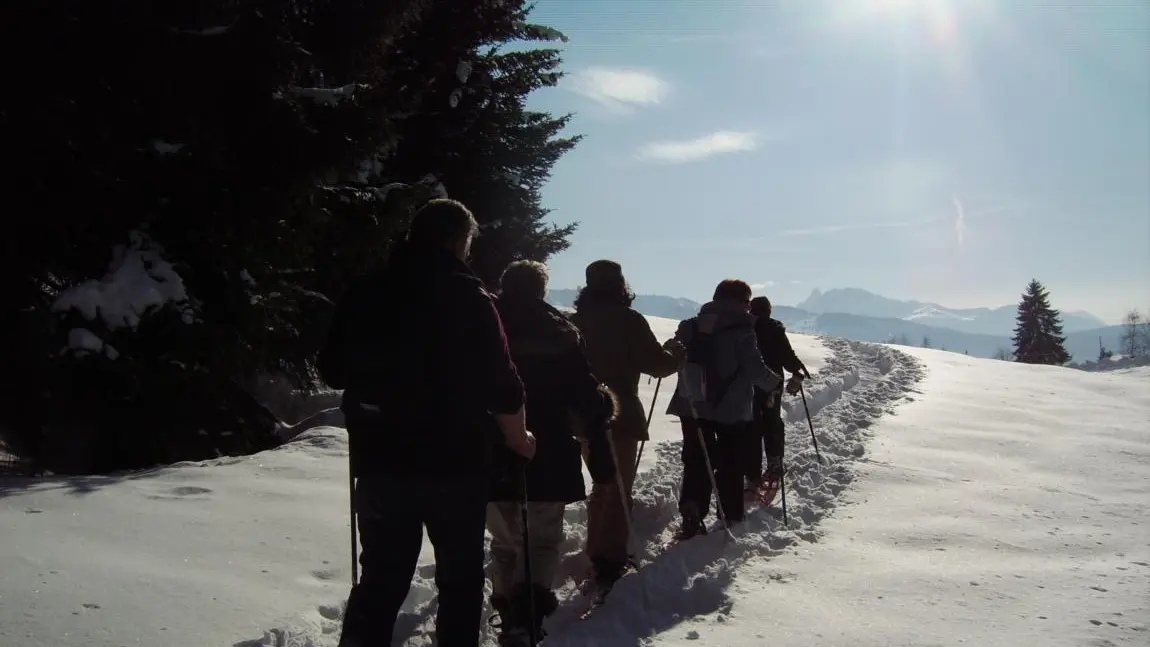 Sortie raquettes thématique