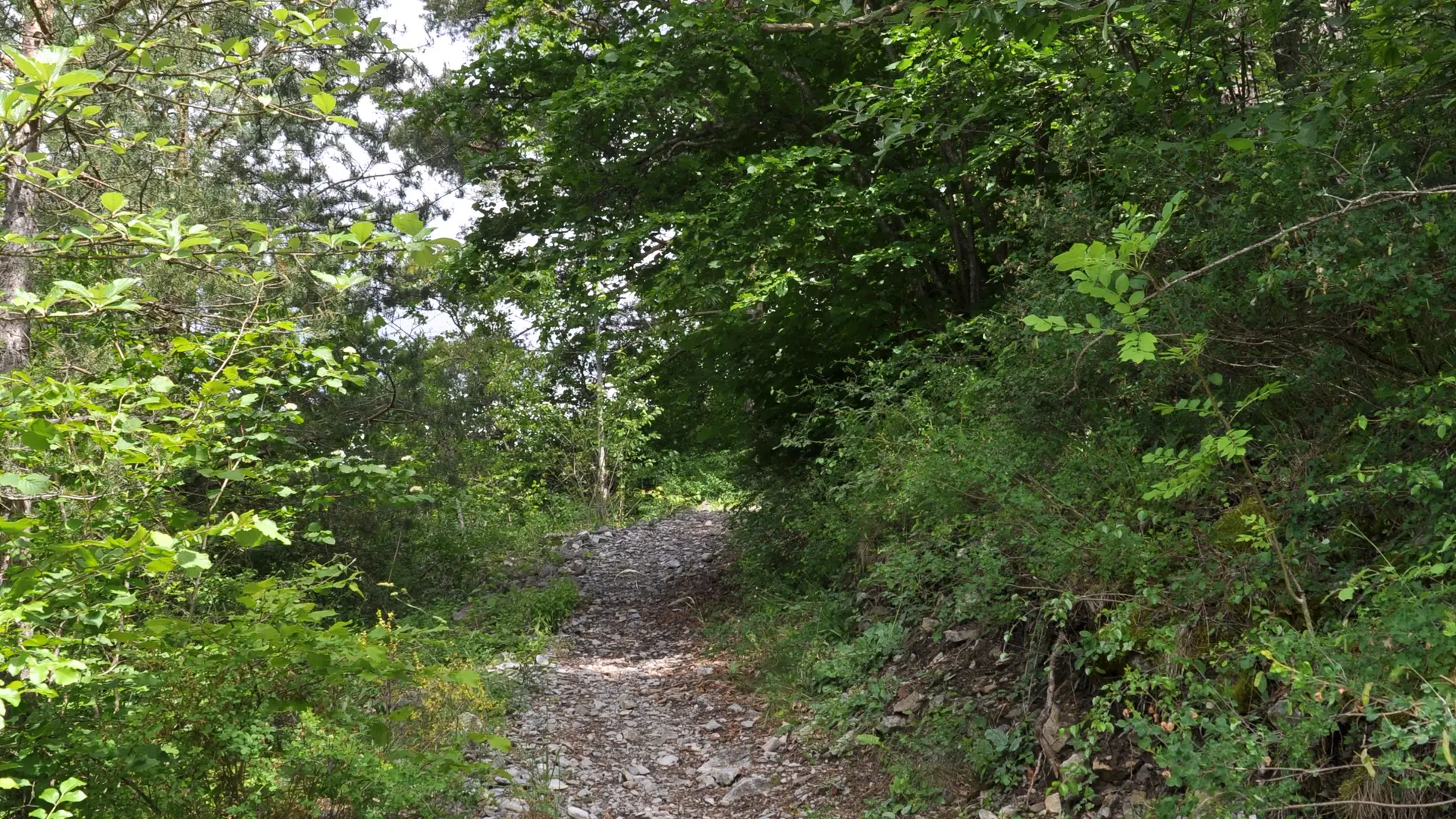 sentier interprétation cyril darius