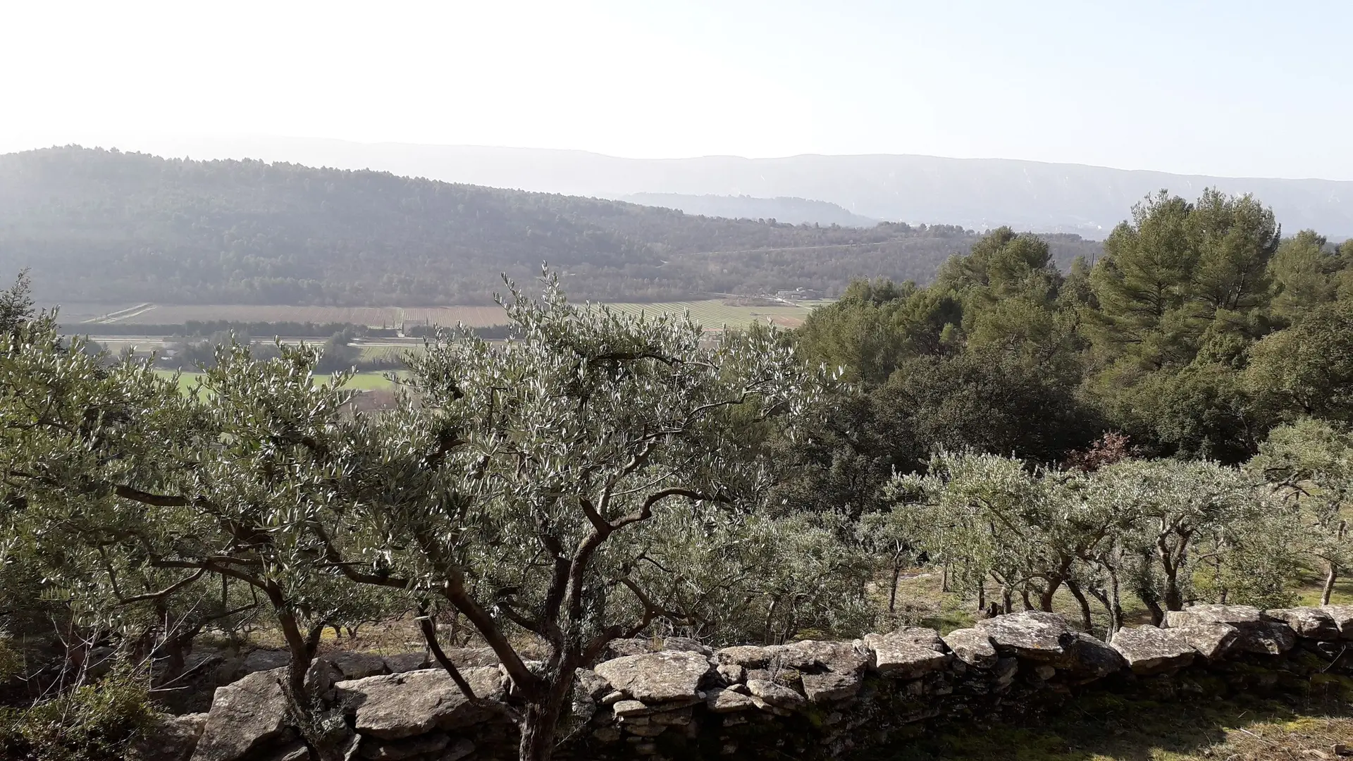Vue sur le Luberon et la vallée du Calavon