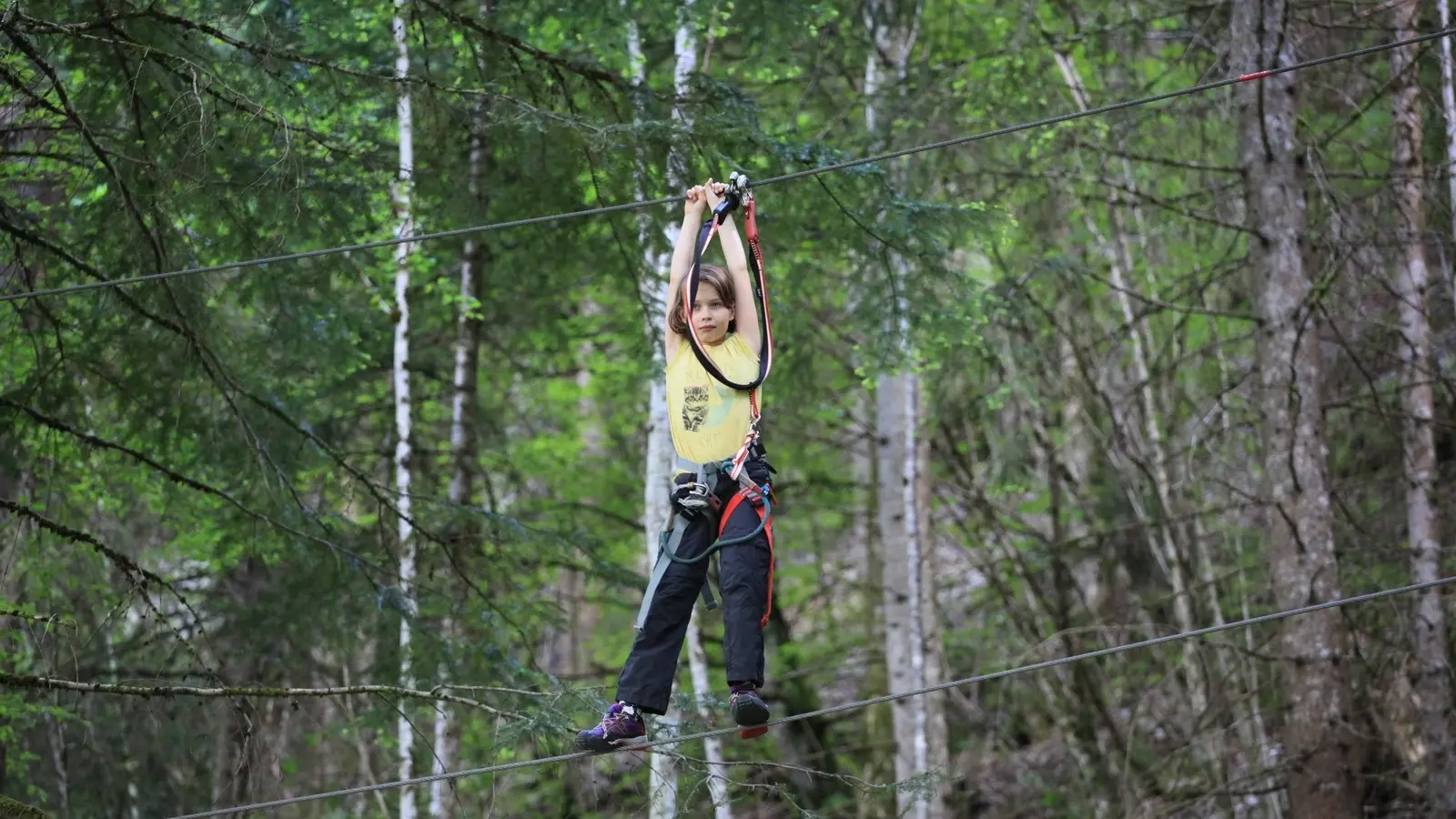 Children course tree clinbing in Abondance