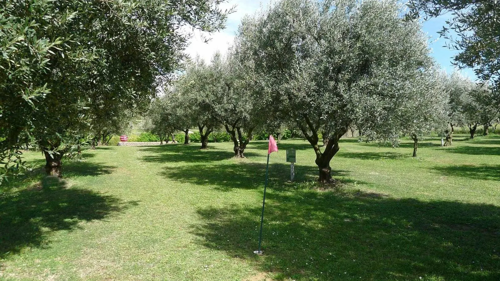 parcours de golf (putting 6 trous)