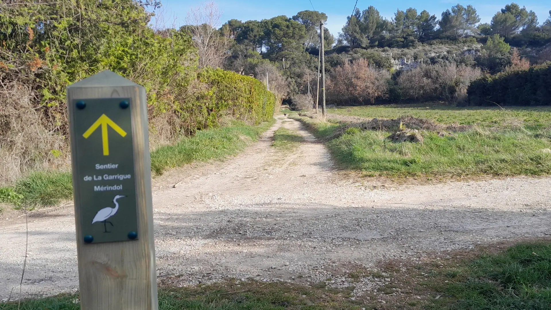 Borne directionnelle