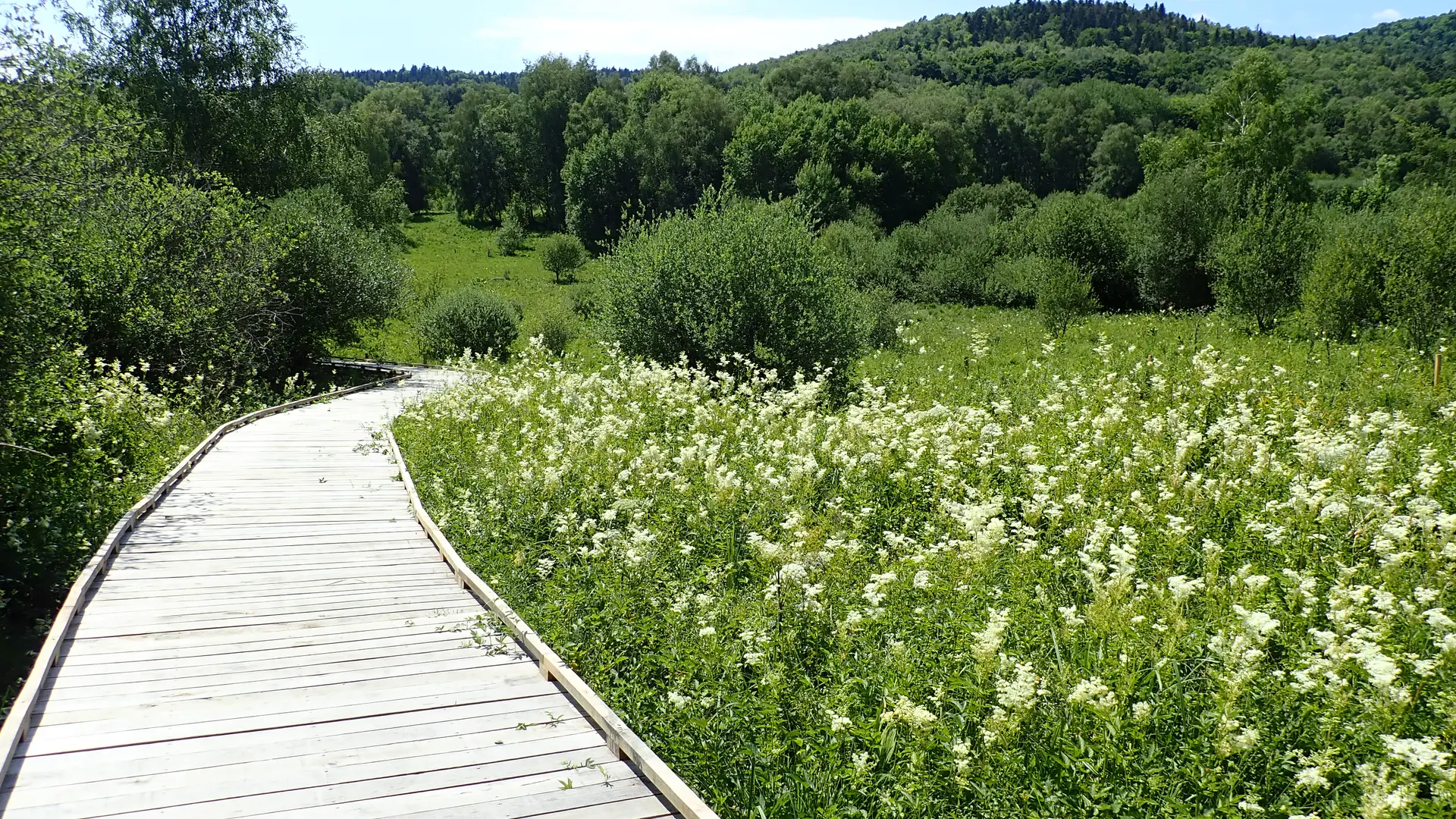Sentier de Noubals zone humide