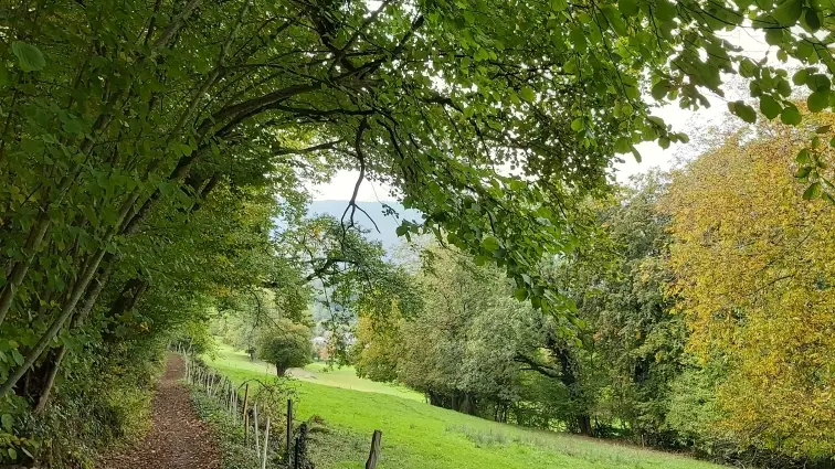 le Sentier des Vettes