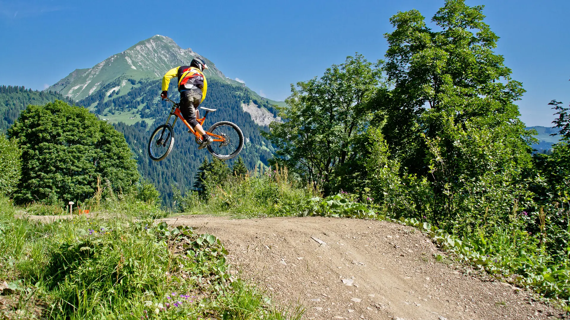 Domaine VTT de Châtel