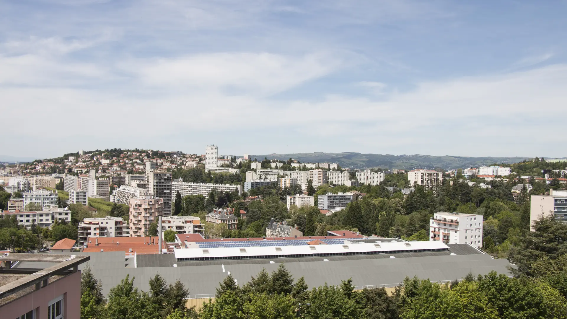 Vue