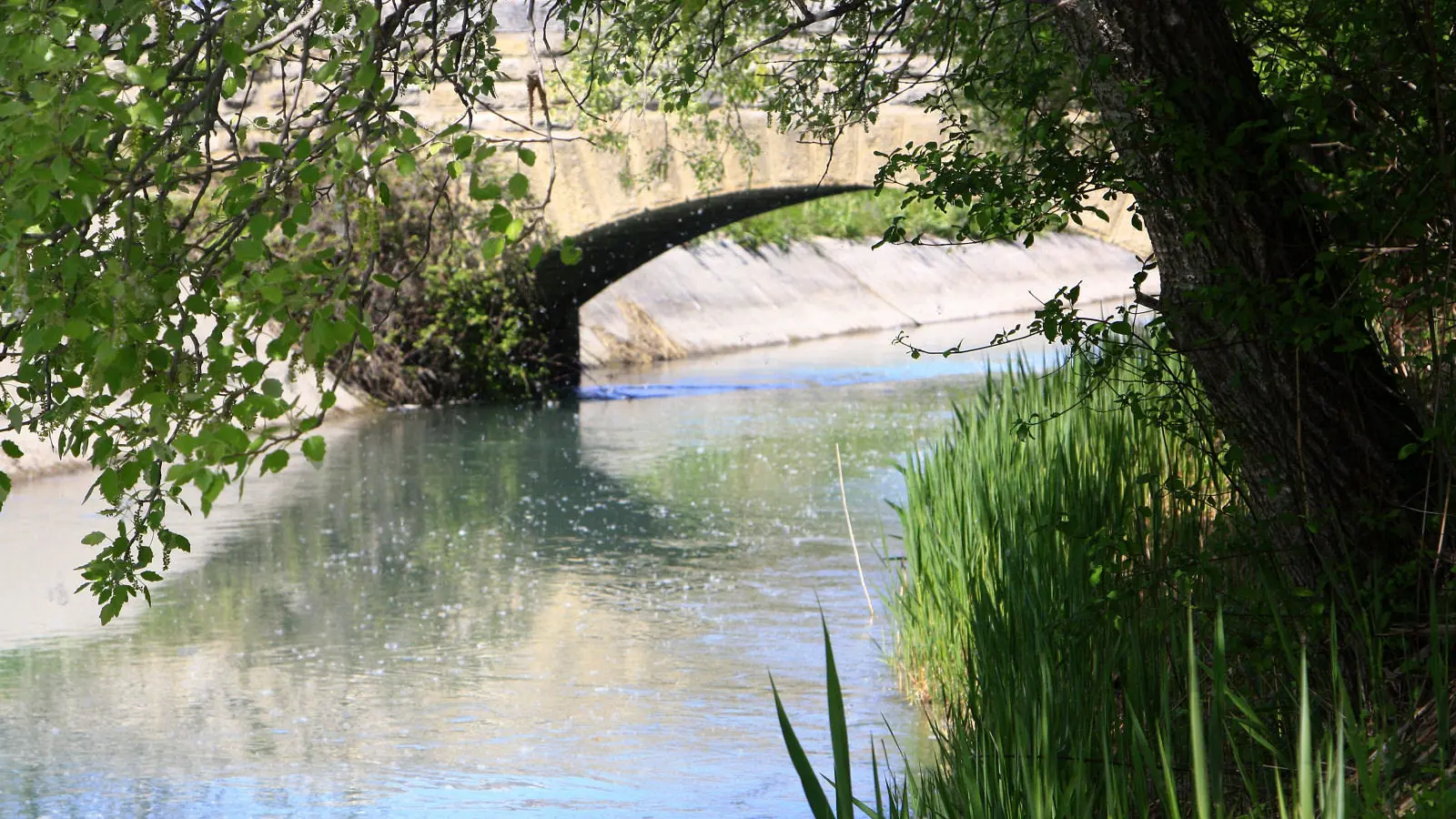 Autour du canal de Carpentras