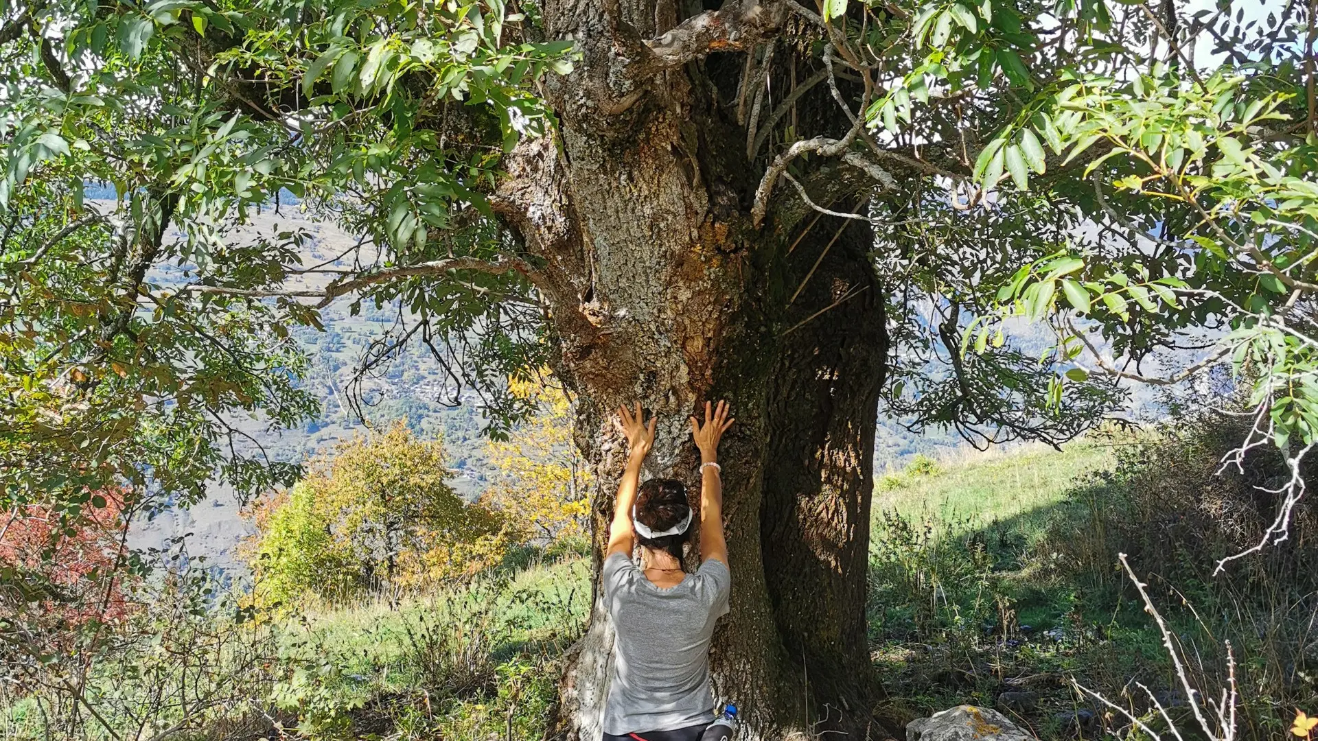 Bain de forêt été