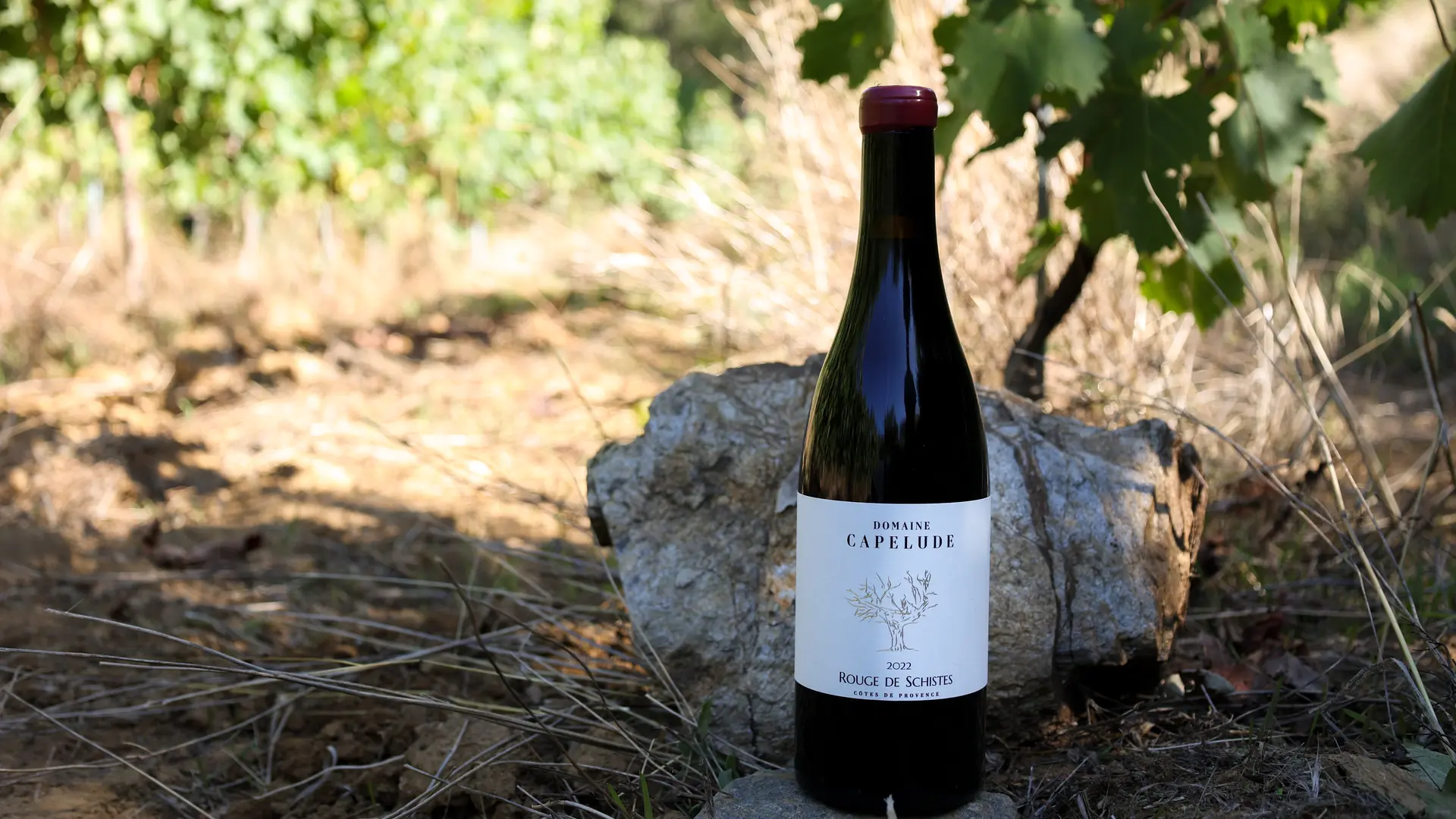 Rouge de Schistes Domaine de Capelude à à Collobrières