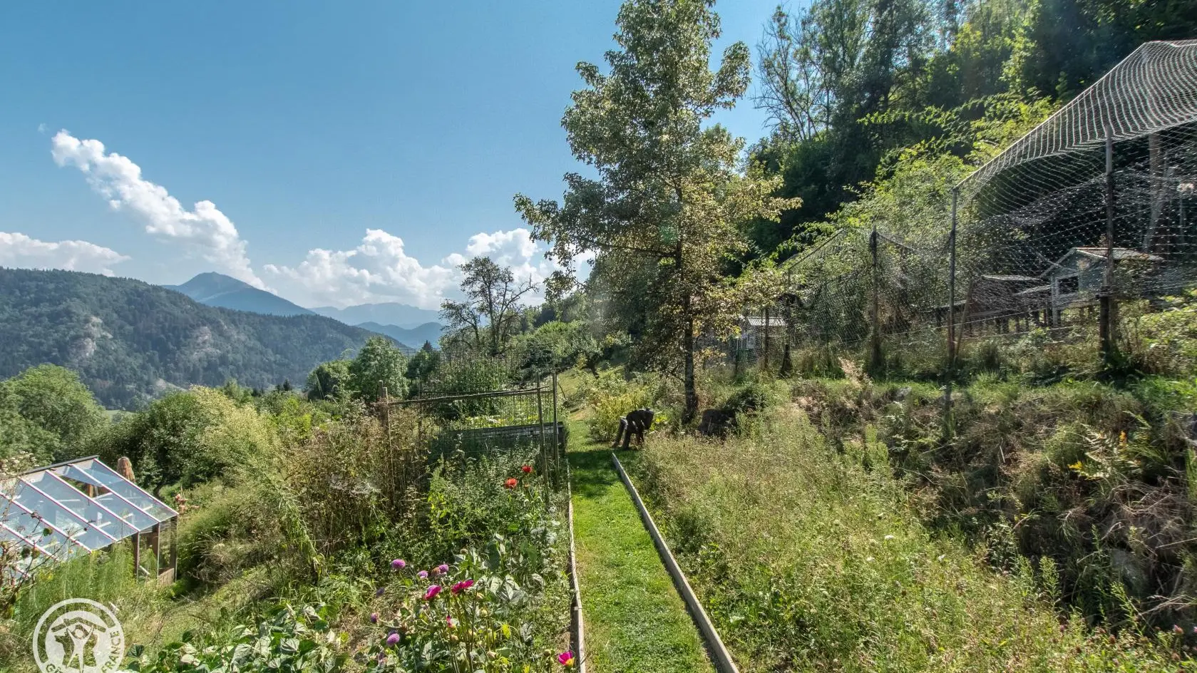 Cheminement paysagé