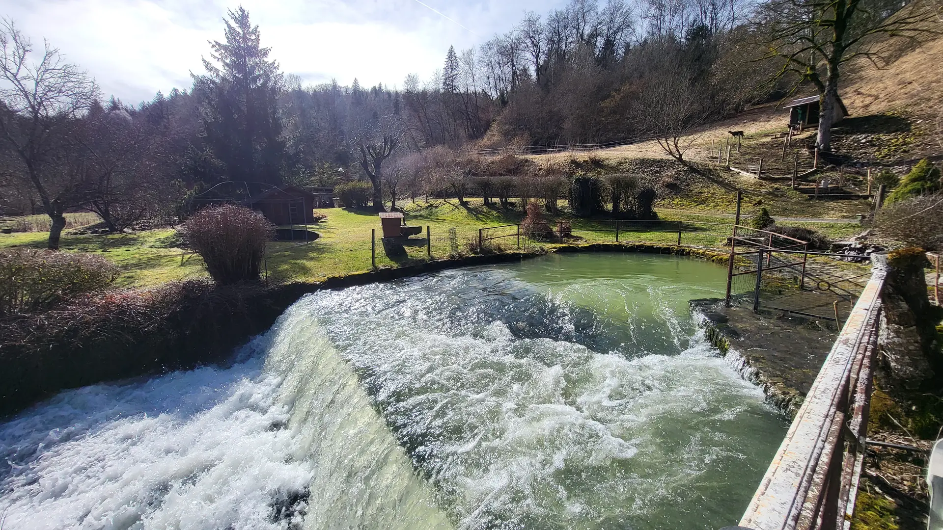 Le chéran