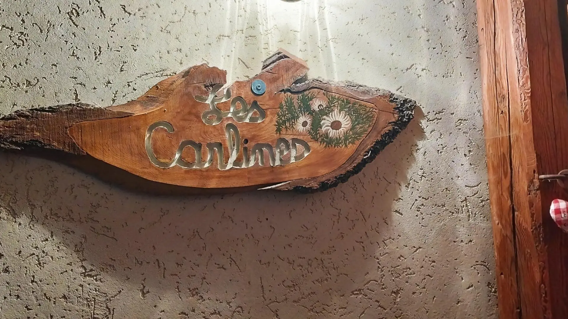 Les Carlines vous accueillent en toute saison