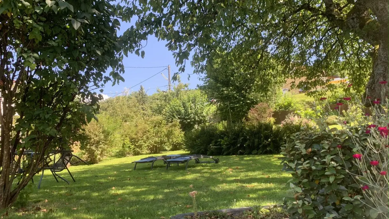 Jardin arrière