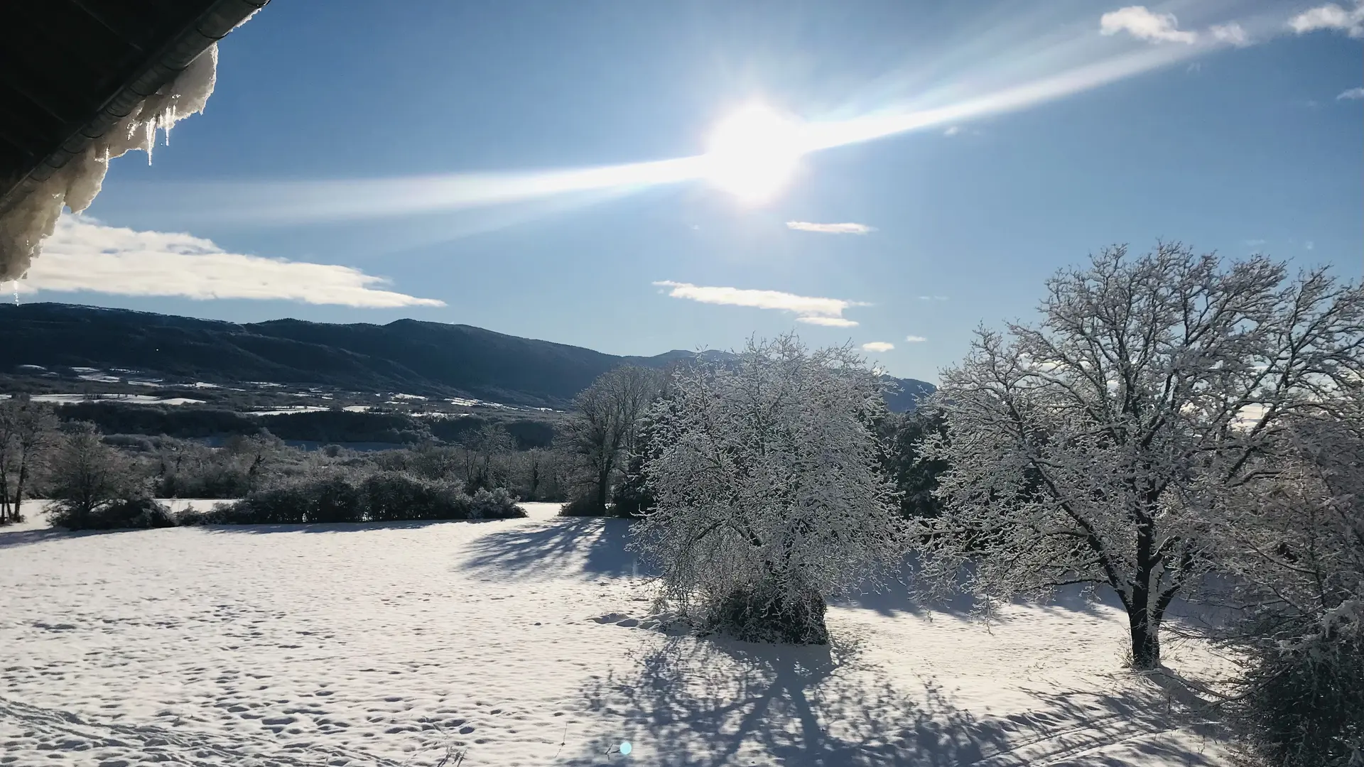 Gîte L'Ain t'y piques