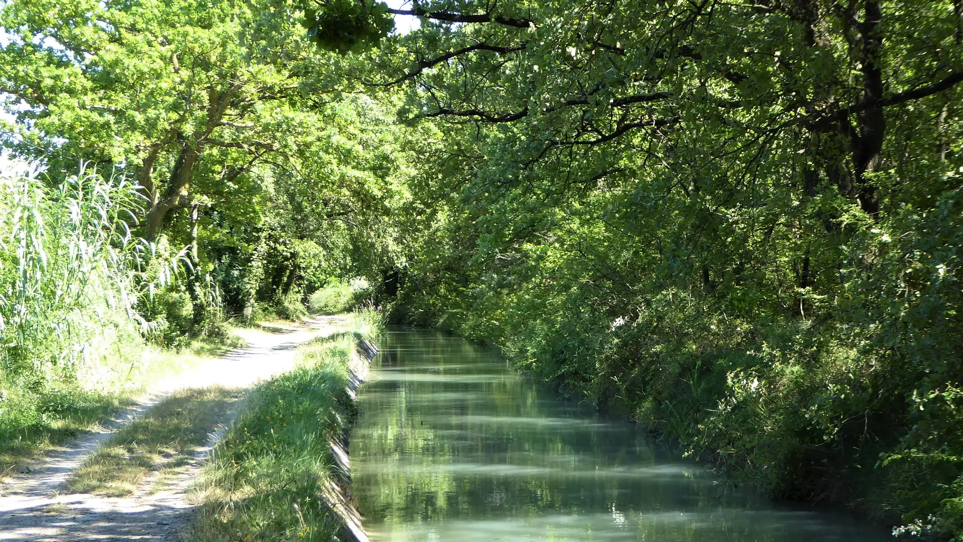 Balade à vélo