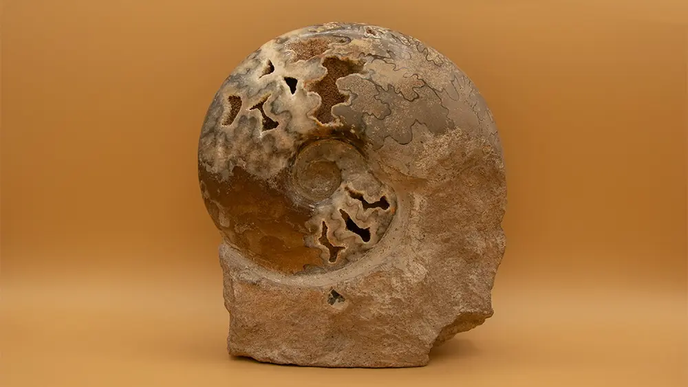 Stage Géologie_ScienceExplo