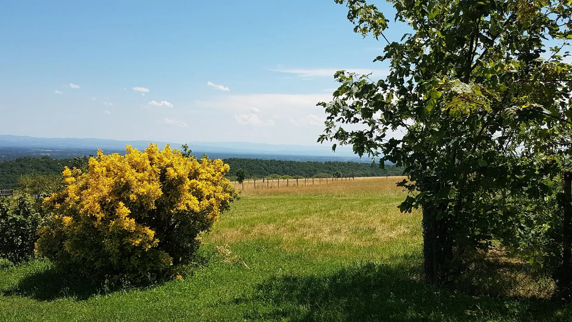 Vue sur la plaine du Forez et les monts du Lyonnais.